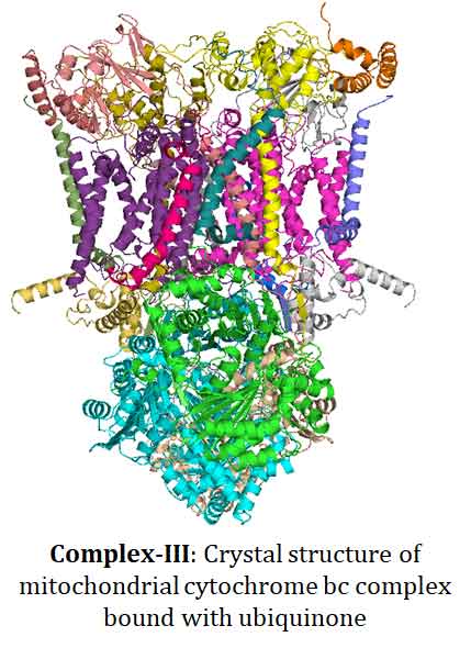 structure of ets complex 3