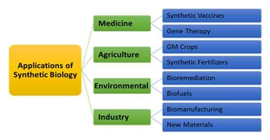 synthetic biology applications