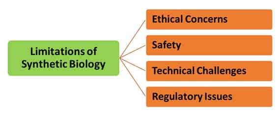 what is shythetic biology?