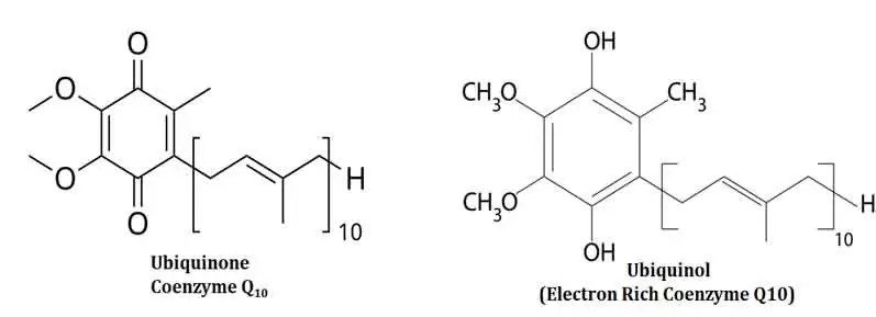 significance of q cycle
