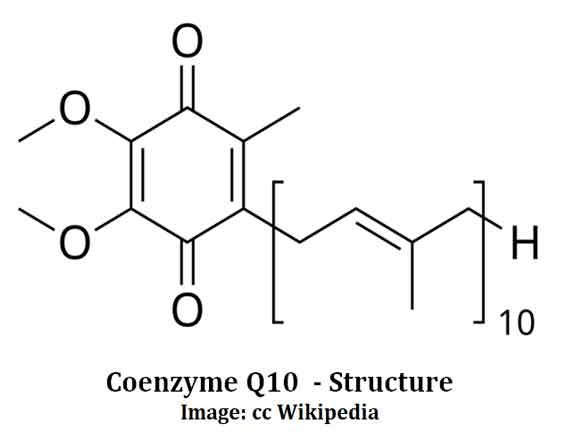 Importance of Coenzyme Q10 | EasyBiologyClass