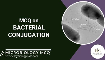 MCQ on Bacterial Conjugation
