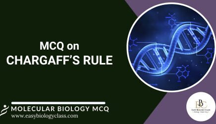 Questions on Chargaff Rule