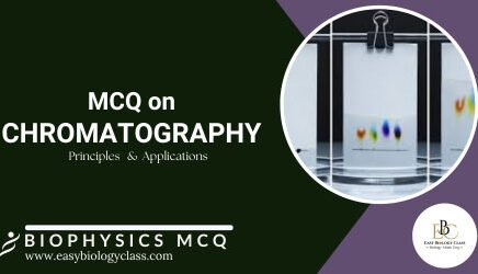chromatography mcq with answers