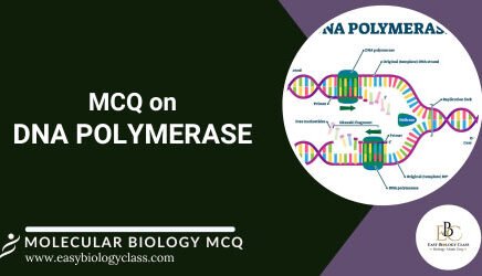 mcq on rna polymerase