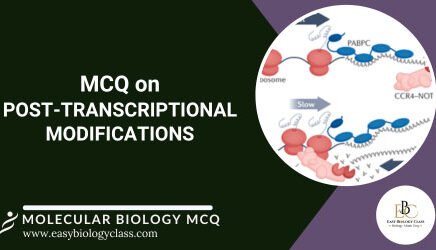 Questions on Post Transcriptional Modification