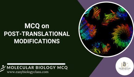 Question Post Translational Modification