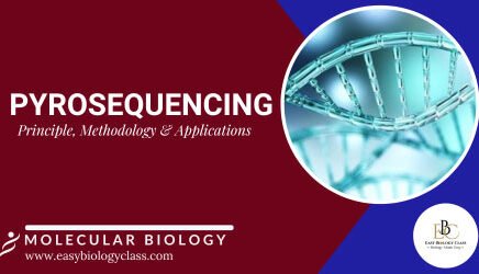 pyrosequencing pdf