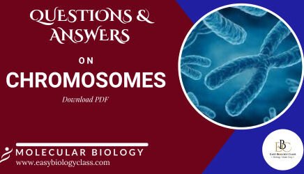 chromosomes questions and answers