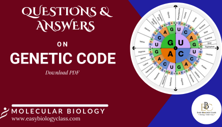 genetic code questions and answers
