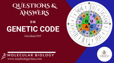 genetic code questions and answers