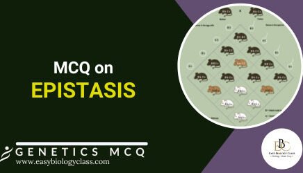mcq on epistasis