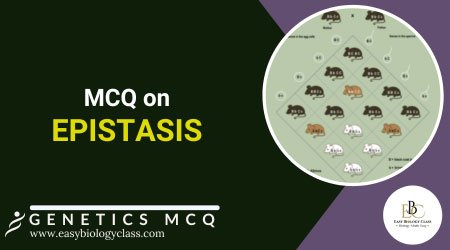 mcq on epistasis