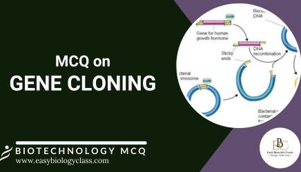 mcq on gene cloning