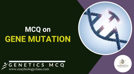 mcq on gene mutation