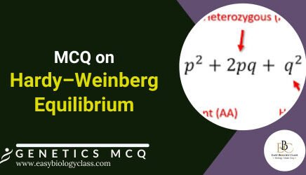 mcq on hardy weinberg equilibrium