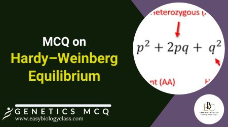 mcq on hardy weinberg equilibrium