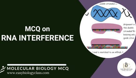 mcq on rna interference