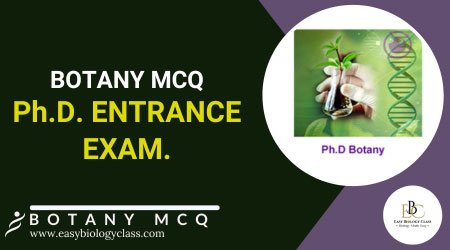 Botany Questions for PhD Entrance Exam