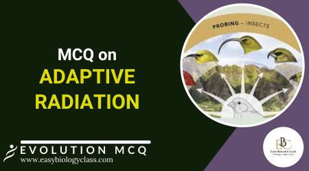 MCQ on Adaptive Radiation
