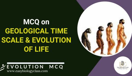 mcq on geological time scale and evolution