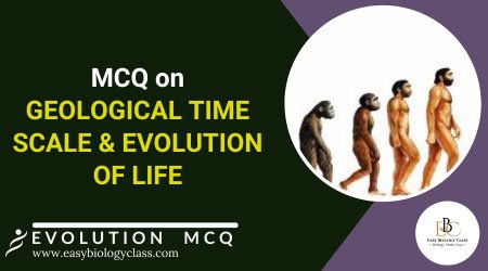 mcq on geological time scale and evolution