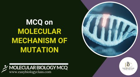 mutation molecular mechanism