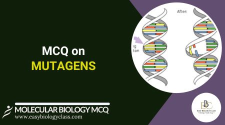 mutagens mcq