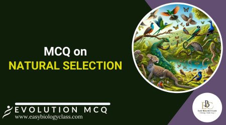 Natural Selection Multiple Choice Questions