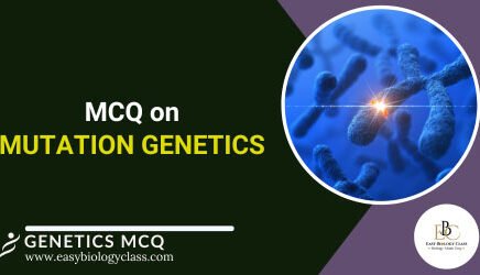 mcq on mutation genetics