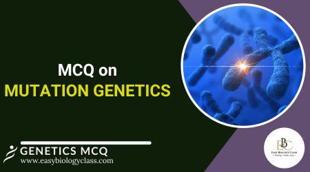 mcq on mutation genetics