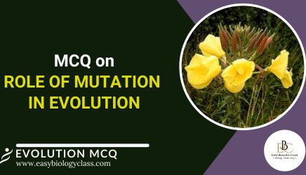 MCQ on Role of Mutation in Evolution