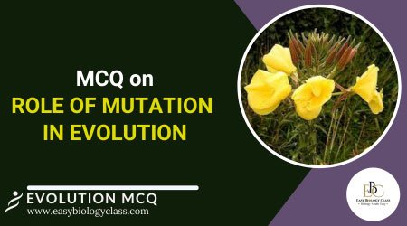 MCQ on Mutation Theory of Evolution