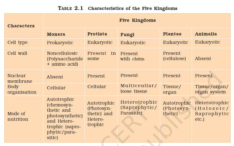five kingdom classification characteristics