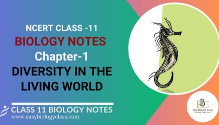 NCERT Class 11 Biology Chapter 1 Notes