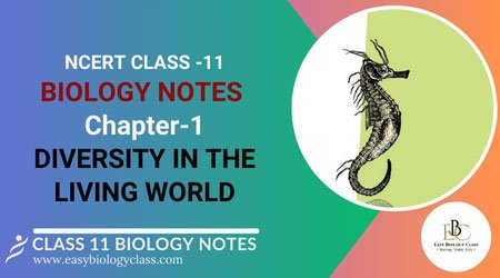 NCERT Class 11 Biology Chapter 1 Notes