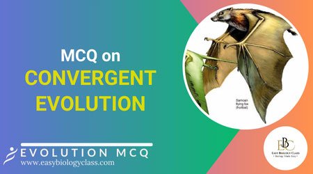 mcq on convergent evolution
