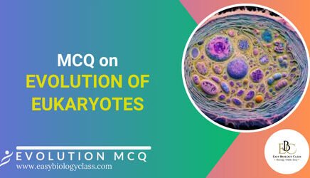 mcq on evolution of eukaryotes