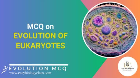 MCQ on Evolution of Eukaryotic Cells