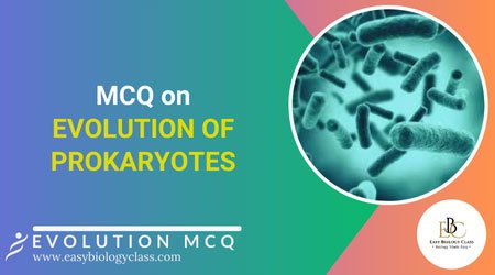 mcq on evolution of prokaryotes