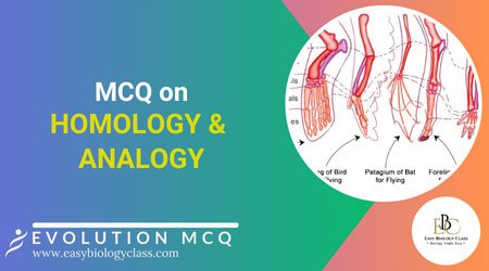 mcq on homology and analogy
