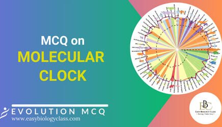 mcq on molecular clock