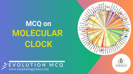 mcq on molecular clock