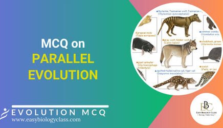 Parallelism MCQs
