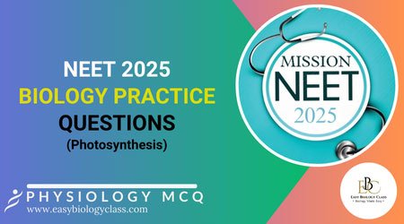NEET 2025 Model Questions Photosynthesis