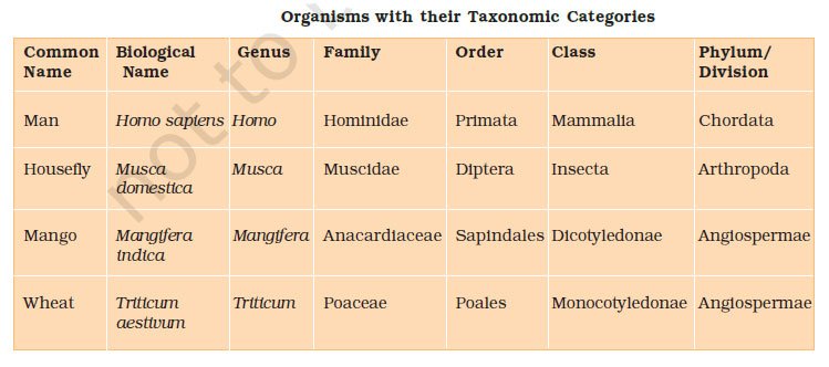 taxonomic categories examples