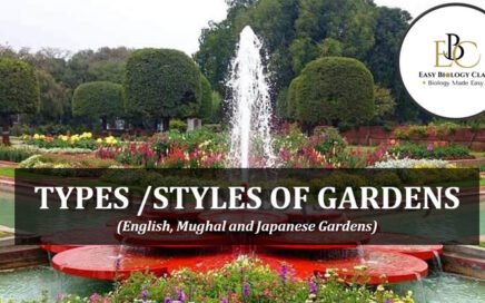 types of gardens ppt