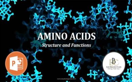 structure of amino acids ppt