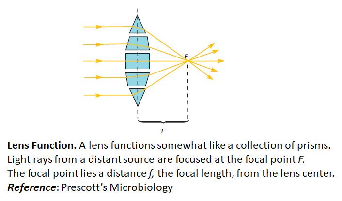 lenses in microscope