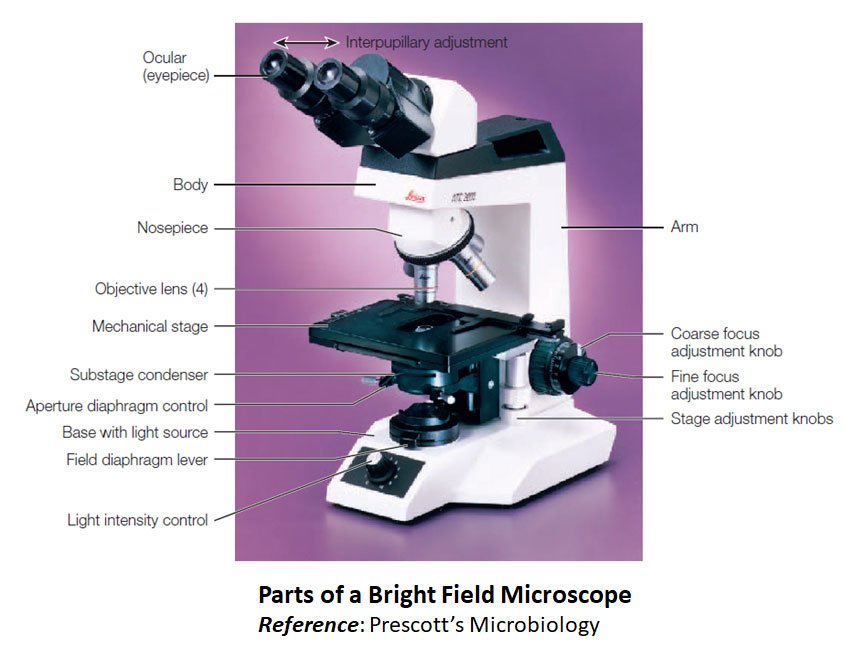 microscope parts